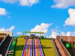 -黄海国家森林公园