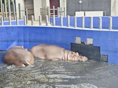-郑州市动物园