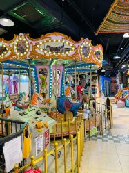 -卡通尼·Safari非洲探索乐园·生日会(金桥国际商业广场店)