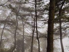 -丰都鬼城名山景区