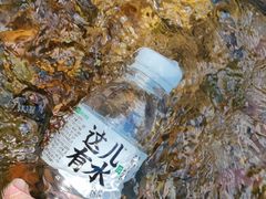 -广州白江湖森林公园