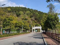 -羚羊峡古栈道森林公园