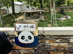 -卧龙中华大熊猫苑神树坪基地