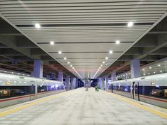 -向民炒鸡老店(火车站店)