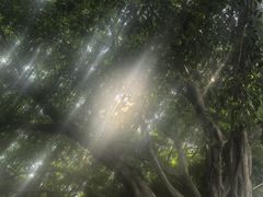 -厦门博饼民俗园