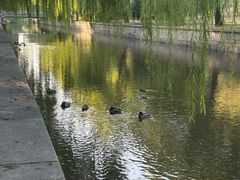 -元大都城垣遗址公园