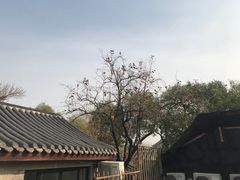 -糖房咖啡(南锣鼓巷店)