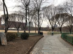 -泰丰公园