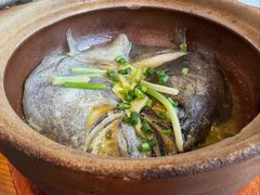 啫啫鸦片鱼头-金龙·打边炉(南京西路店)