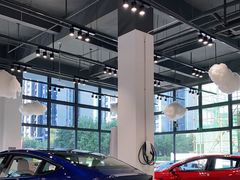 -TESLA 特斯拉(深圳观澜特斯拉直营钣喷中心)