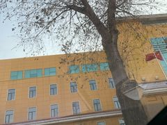 -东北师范大学附属中学(自由校区)