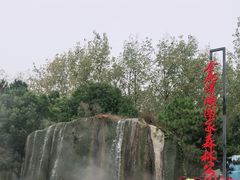 -合肥滨湖国家森林公园