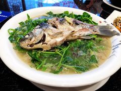 -丰食农家乐