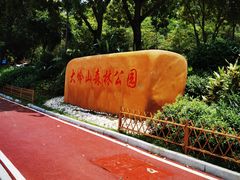 -东莞市大岭山森林公园