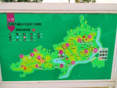 -紫颐香薰山谷景区