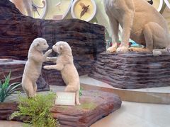 -陕西自然博物馆