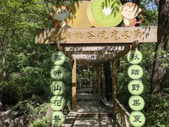 -大岭沟猕猴桃谷风景区