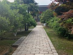 -雨花胜境