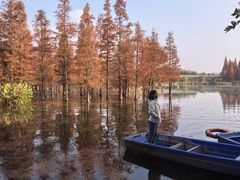 -白鹭湾湿地公园