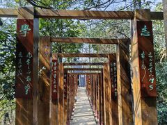 -云碧峰国家森林公园