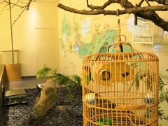 -小厨娘淮扬菜(诚信大道店)