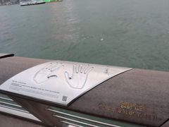 -星光大道