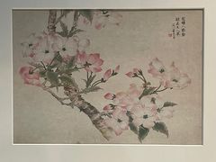 -浙江西湖美术馆