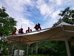 -玫瑰小镇