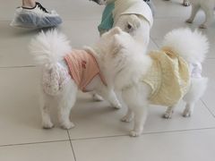 -怪兽屋·羊驼·猫咖·狗咖(俊华广场店)