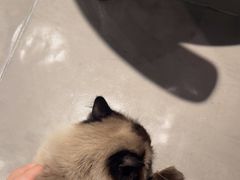 -Estaeslavida分享茄雪茄吧(亿彩购物中心店)