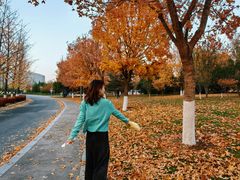 -北京园博大酒店