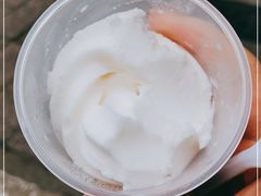-洪馨椰子