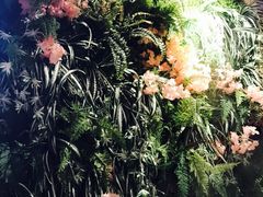 -南城十里潮汕鲜牛火锅·鲜虾生滚粥(融汇老商埠店)