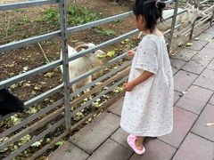 -厦门悦华酒店