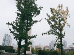 -百林公园-两江幸福广场
