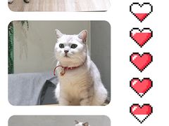 -藏猫猫咖啡主题馆(中央大道店)