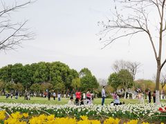 -院士公园