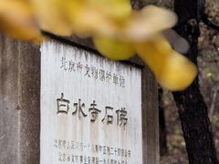 -白水寺森林公园