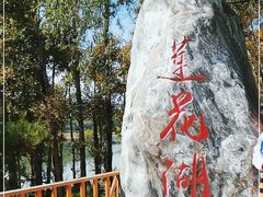 -塔尔寺游客服务中心