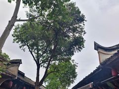 -安仁古镇