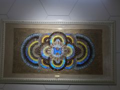 -上海昆虫博物馆