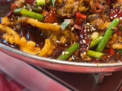 -龙师傅卤炒(天马店)