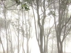 -广州市帽峰山景区