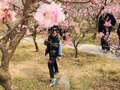 -石家庄市植物园