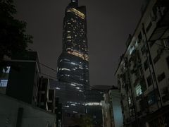 -紫峰大厦