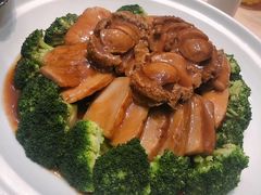 -新陶陶酒家