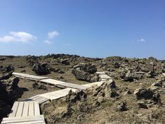 龙坑生态保护区-龙坑生态保护区