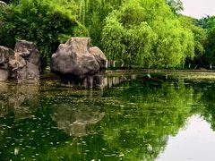 -环城公园-琥珀潭