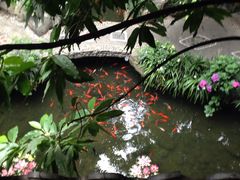 -钦善斋(武侯祠店)