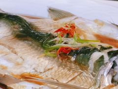-黄鹤楼湖北特色菜(高碑店)